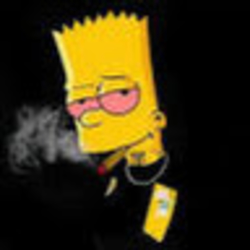 Meet your Posher, Zari